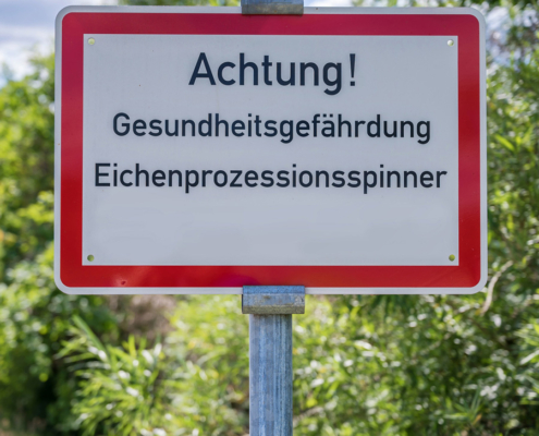 Beitragsbild-Eichenprozessionsspinner