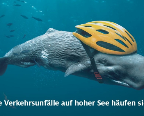 oceancare-wale-schutzhelm-news-mplus-spendet-weihnachtsbudet