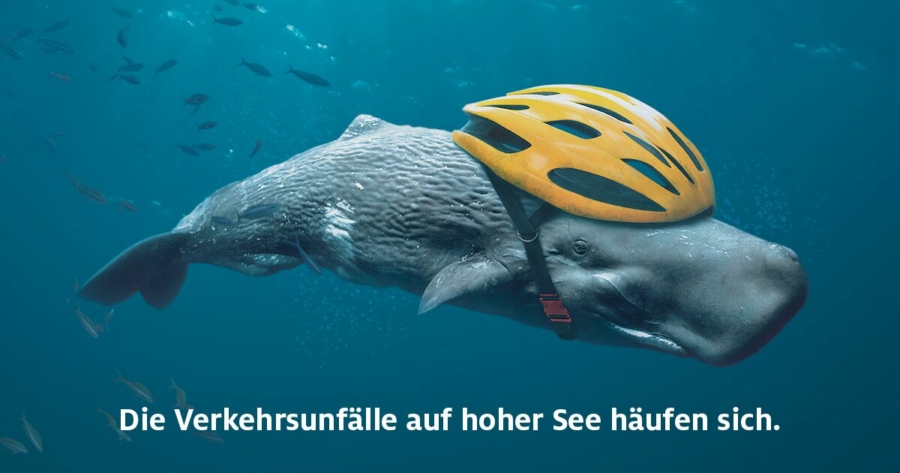 oceancare-wale-schutzhelm-news-mplus-spendet-weihnachtsbudet